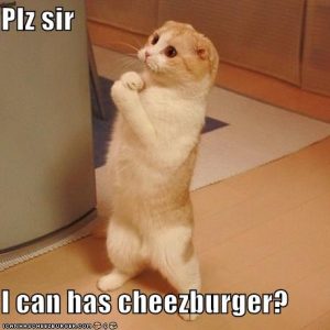 cat-cheezburger